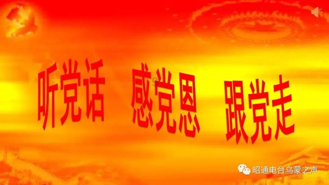 金羚洗衣机排污口在哪里？